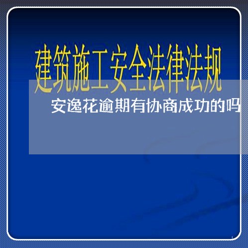 安逸花逾期有协商成功的吗/2023021553035