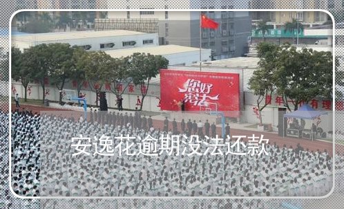 安逸花逾期没法还款 安逸花逾期没法还款