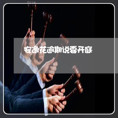 安逸花逾期说要开庭/2023020561503 安逸花逾期说要开庭/2023020561503