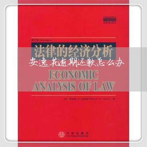 安逸花逾期还款怎么办/2023031870693