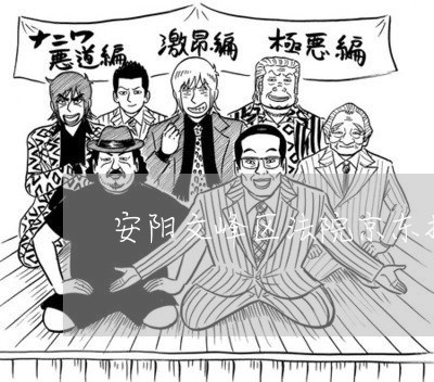 安阳文峰区法院京东拍卖