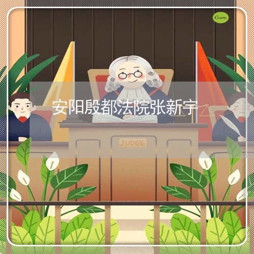 安阳殷都法院张新宇
