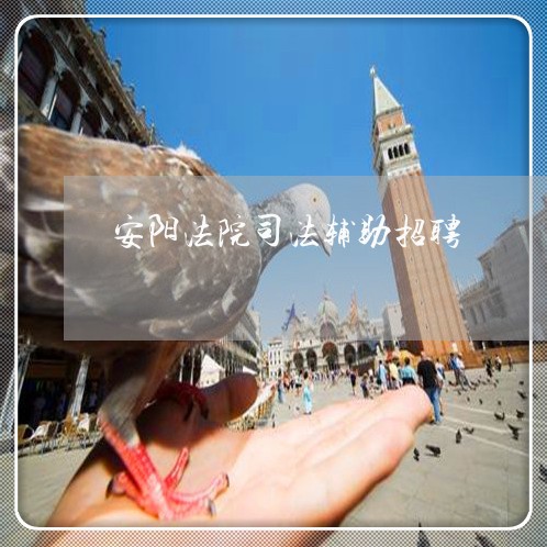 安阳法院司法辅助招聘