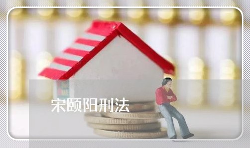 宋颐阳刑法 宋颐阳刑法