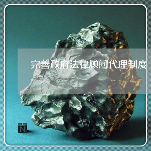 完善政府法律顾问代理制度 完善政府法律顾问代理制度