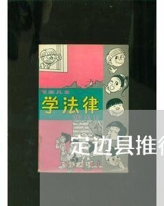 定边县推行法律顾问制/2023061914037 定边县推行法律顾问制/2023061914037
