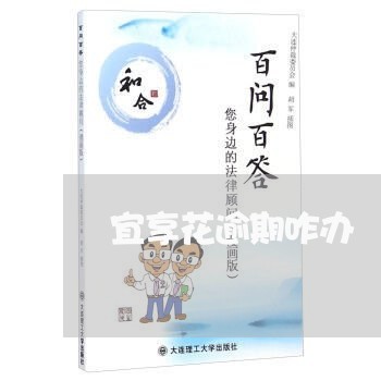 宜享花逾期咋办