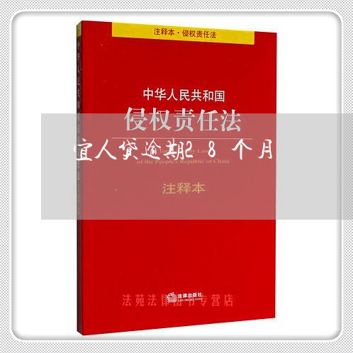 宜人贷逾期28个月