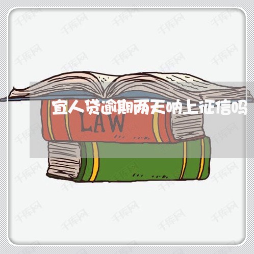 宜人贷逾期两天呐上征信吗/2023060906147