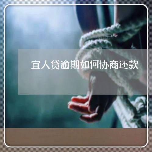 宜人贷逾期如何协商还款/2023061905169