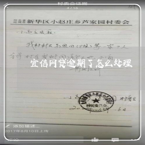 宜信网贷逾期了怎么处理/2023061972795