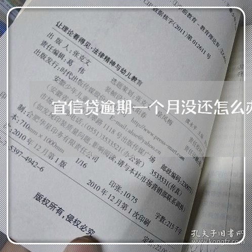 宜信贷逾期一个月没还怎么办