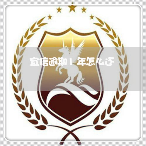 宜信逾期1年怎么还/2023020578492