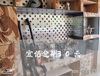 宜信逾期30天 宜信逾期30天