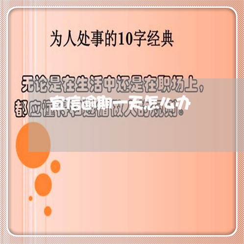 宜信逾期一天怎么办/2023020590825