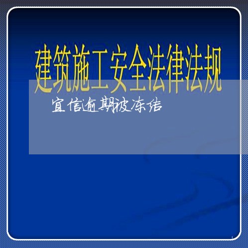 宜信逾期被冻结/2023100506049