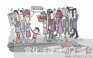 宜化法律顾问工资 宜化法律顾问工资