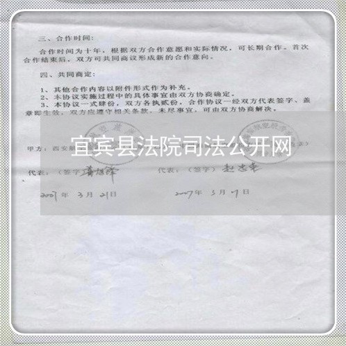 宜宾县法院司法公开网