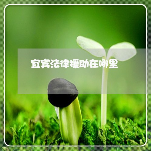 宜宾法律援助在哪里