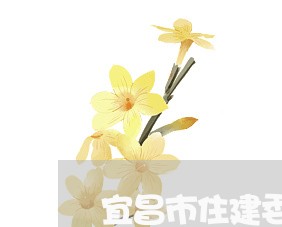 宜昌市住建委法律顾问 宜昌市住建委法律顾问