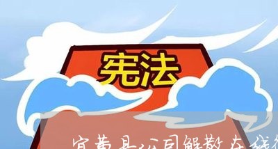 宜黄县公司解散在线律师 宜黄县公司解散在线律师