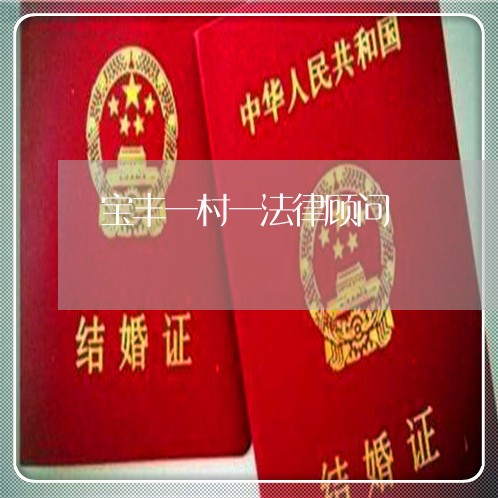 宝丰一村一法律顾问