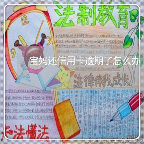 宝妈还信用卡逾期了怎么办/2023011905727