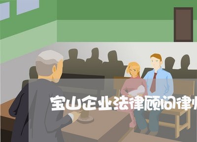 宝山企业法律顾问律师电话/2023061827471 宝山企业法律顾问律师电话/2023061827471