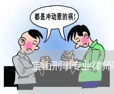 宝山刑事专业律师哪家比较好