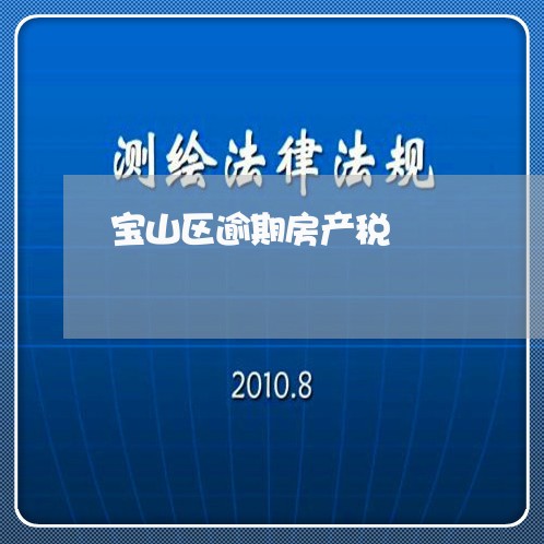 宝山区逾期房产税/2023032985937