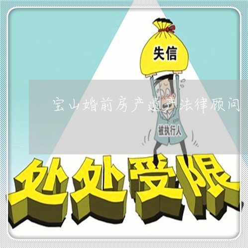 宝山婚前房产遗产法律顾问/2023061938470