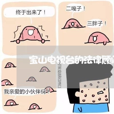 宝山电视台的法律顾问名单 宝山电视台的法律顾问名单