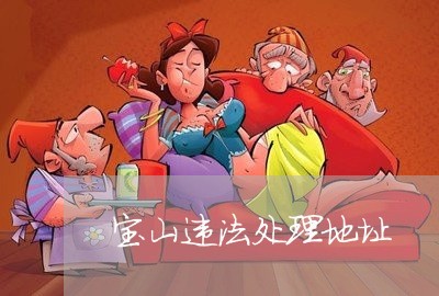 宝山违法处理地址 宝山违法处理地址