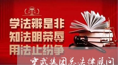 宝武集团总法律顾问 宝武集团总法律顾问
