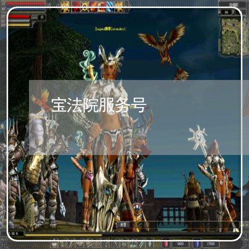 宝法院服务号