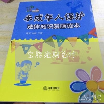 宝能逾期兑付