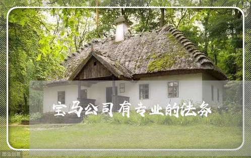 宝马公司有专业的法务 宝马公司有专业的法务