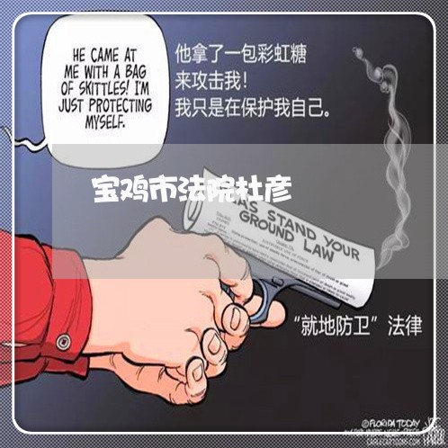 宝鸡市法院杜彦