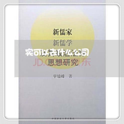实可以去什么公司