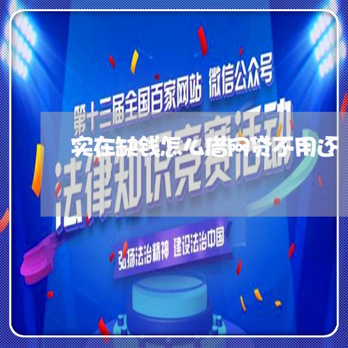 实在缺钱怎么借网贷不用还/2023120880593