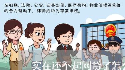 实在还不起网贷了怎么办/2023011950694