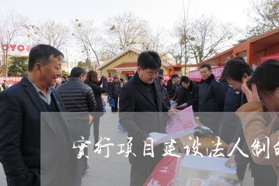 实行项目建设法人制的法规