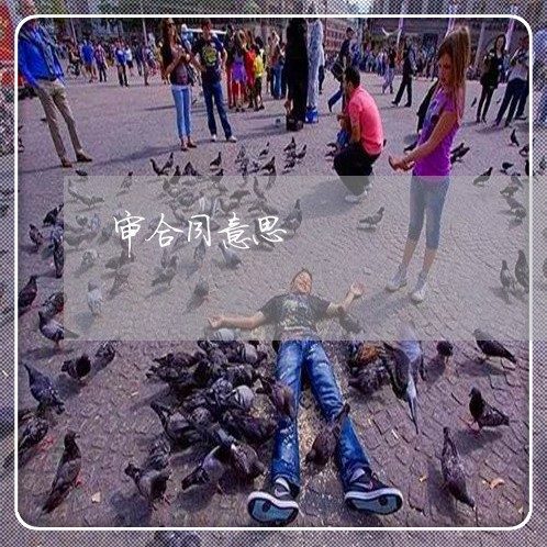 审合同意思 审合同意思