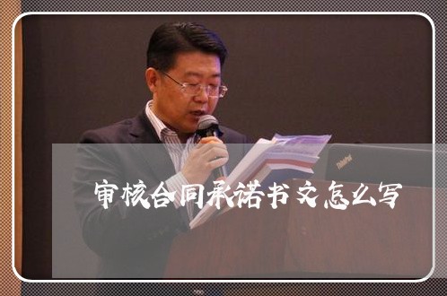 审核合同承诺书文怎么写/2023042274937