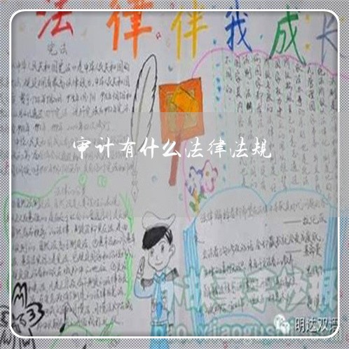 审计有什么法律法规 审计有什么法律法规