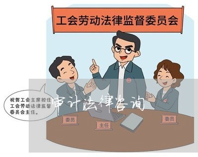 审计法律咨询