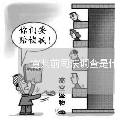 宣判前司法调查是什么意思