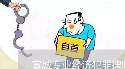 宣城专业经济犯罪律师团队