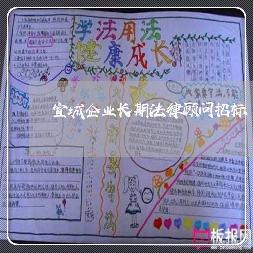 宣城企业长期法律顾问招标/2023061852501