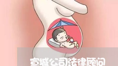 宣城公司法律顾问 宣城公司法律顾问